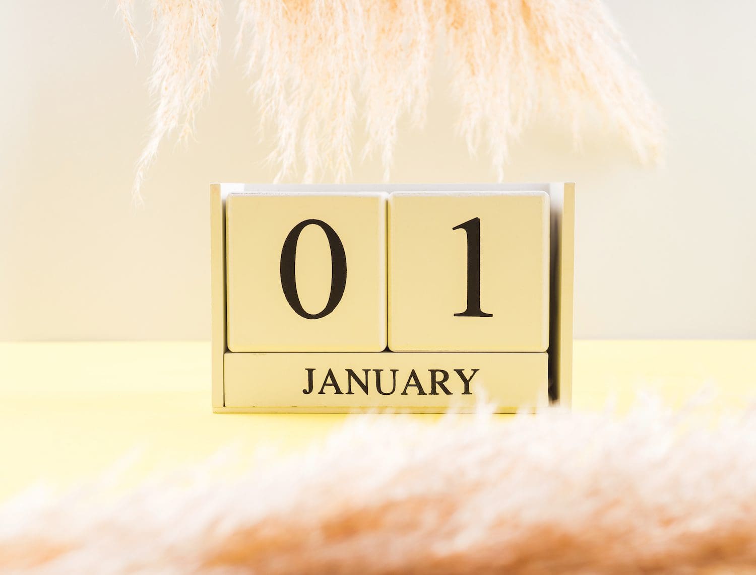 2024年1月节日及活动月（每年更新）