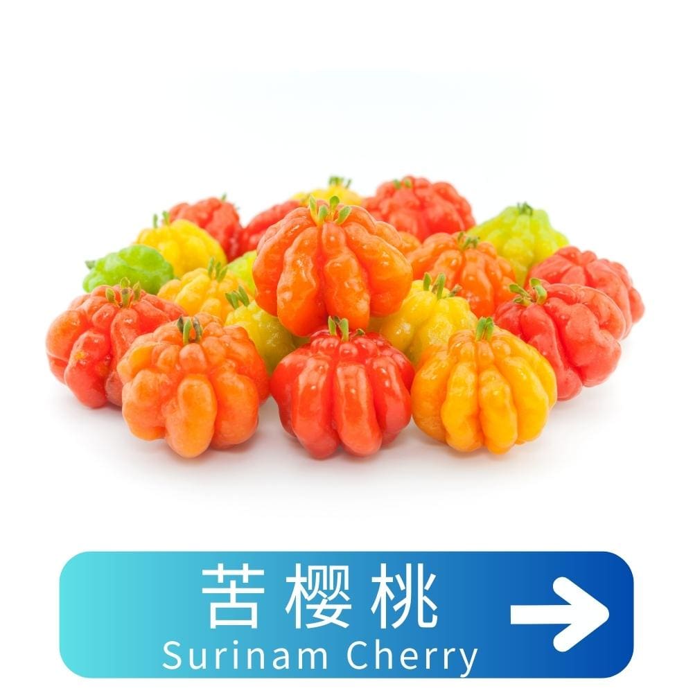 苦樱桃Surinam-Cherry